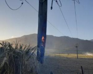 The charred remains of a powerline north of Kaikōura. Photo: MainPower