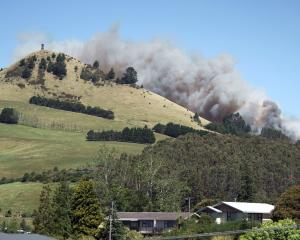 A large vegetation fire burns on the side of Puketapu Hill, near Palmerston, yesterday. PHOTO:...