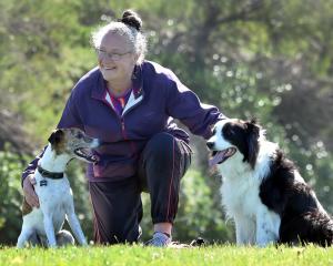 Cherie Scadden, of Dunedin, with whippet Jack Russell cross Rambo (left) and border collie Ruby...