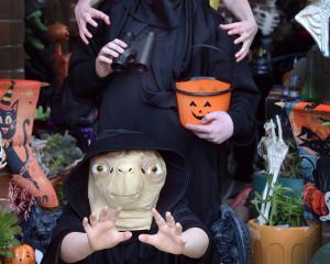 Visiting the haunted house on the corner of Moreau and Council Sts in South Dunedin are (from top...