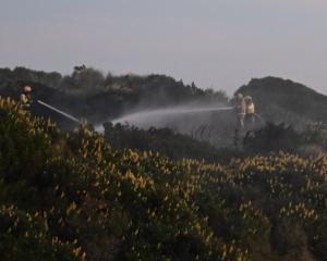 Firefighters fight a vegetation fire at Tomahawk Lagoon, thought to have been started by...