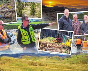 Hamish Anderson, from forestry company IFS Growth, shows Ingka Investments Forestland...