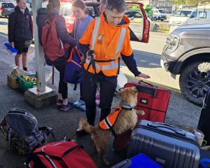Independent contractor Sandy King, of Stewart Island, and Mawson, a rodent detection dog, check...