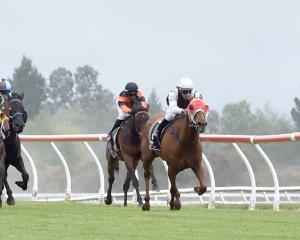 Inflamed leads the field in the feature Grand Casino Open Handicap during the 2025 Melbourne Cup...