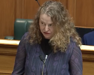 Dunedin MP Rachel Brooking during Question Time on Tuesday. Image: Parliament TV