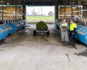 Lye Farm technical team leader Olivia Jordan and scientist Dr Konagh Garrett work on a trial...
