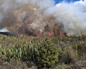 Firefighters are battling a vegetation fire on the Tongariro crossing. Photo: RNZ /...