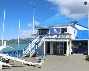 The Naval Point Club board sent an email to members on Monday, addressing concerns around...