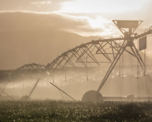 The decision comes as the region grapples with increasing levels of nitrate in its waterways, and...