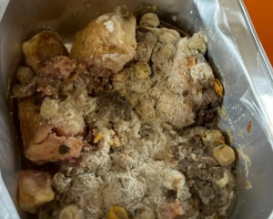 Some of the rancid lunches had already been eaten by students. Photo: Supplied