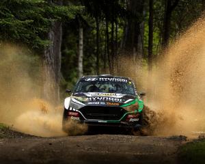 2025 was a big year for New Zealand motorsport heroes Hayden Paddon (top) and Liam Lawson (below)...