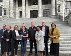 Pictured on Parliament's steps are Labour MPs Tangi Utikere, Jenny Salesa, and Camilla Belich,...