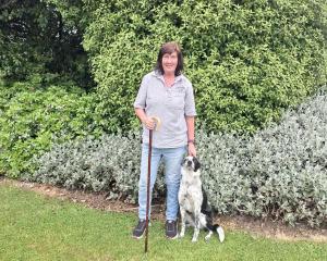 Maitland Sheep Dog Trial Club member Kay McClymont, of Tapanui, and her heading dog Peggy Sue...