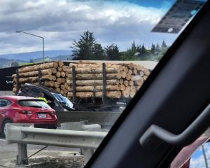A car was crushed against the concrete median barrier by a logging truck on Friday last week....