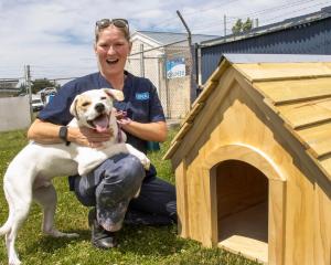 SPCA Christchurch Centre manager Natasha Sutton and mixed-breed&nbsp;Manny with his new kennel....