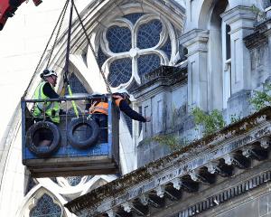 PHOTO: PETER MCINTOSH