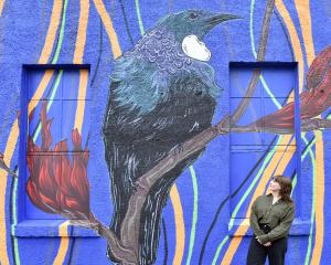 Artist Lara Hattingh is dwarfed by a new resident of Rankeilor St, South Dunedin — a tūī perched...
