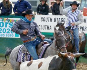 Seasoned rodeo performer Rex Church, of Poolburn, competes in the steer wrestling slack in a gap...