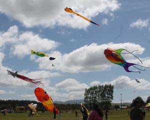 There was quite a sight at Tulloch Park on Saturday with kites normally seen on an international...
