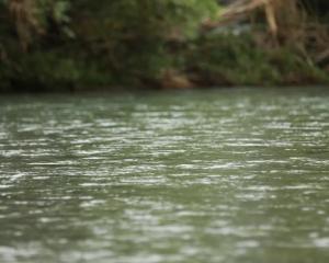The puppies were taken out of a pillowcase and thrown into the Whakatāne River. File photo: RNZ