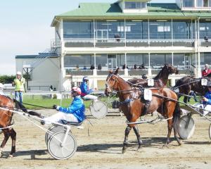 The Tuapeka Lodge Tuapeka Cup was held at Ascot Park Raceway in Invercargill. PHOTO: ODT FILES