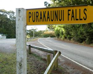 Pedestrian and vehicle safety at the Purakaunui Falls entrance, carpark and intervening road is...