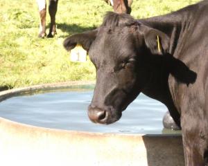 Dairy farmers are picking a reasonably high opening milk price forecast by Fonterra, but a less...
