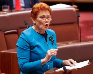 Support for Pauline Hanson's One Nation has risen four points to 31%, according to the poll....