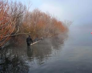 Land Information New Zealand has started laying about 60,000sq m of hessian matting across...
