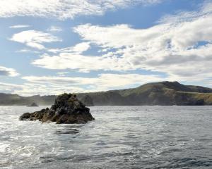 Tow Rock, which sits just outside the the southern boundary of the proposed Ōrau Marine Reserve...
