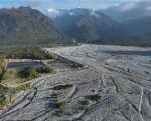 A view of the avulsing Waiho River looking inland towards Franz Josef Glacier township, with the...