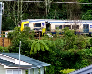 A view of the accident site between Box Hill and Khandallah stations in Wellington. Photo: RNZ