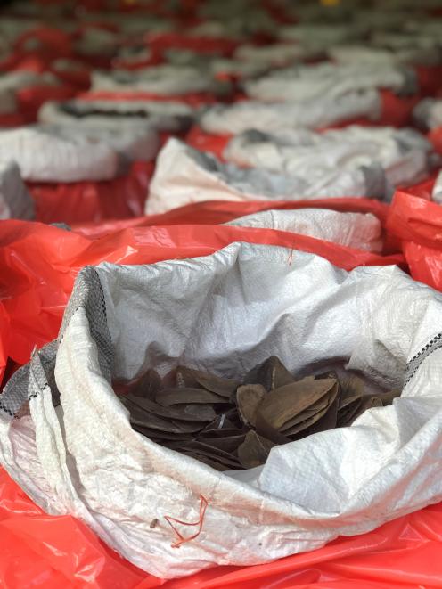 The latest seizure also contained 11.9 tonnes of pangolin scales, equivalent to nearly 2000 of...