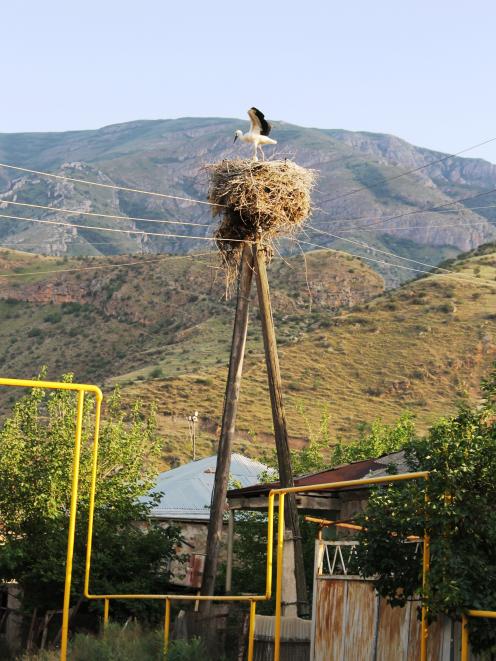 A young stork stretches its wings above a colourful jungle gym of Soviet -era reticulated gas...