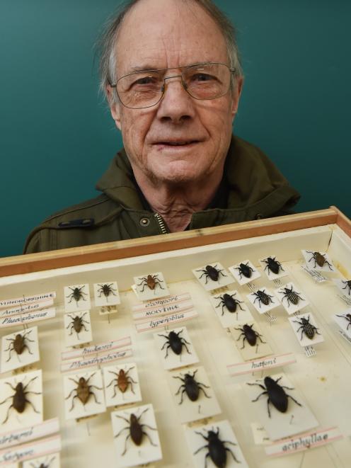 Anthony Harris with a display case of weevils he has collected. Photo: Gregor Richardson