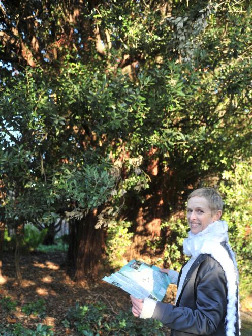 Clare Fraser makes her way along Dunedin Botanic Garden’s new tree trail.PHOTO: CHRISTINE O...