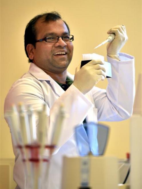 University of Otago researcher Dr Rajesh Katare has helped clarify a molecular mechanism linking diabetes and heart disease, and hopes to develop a new blood marker test for a key protein. Photo by Peter McIntosh