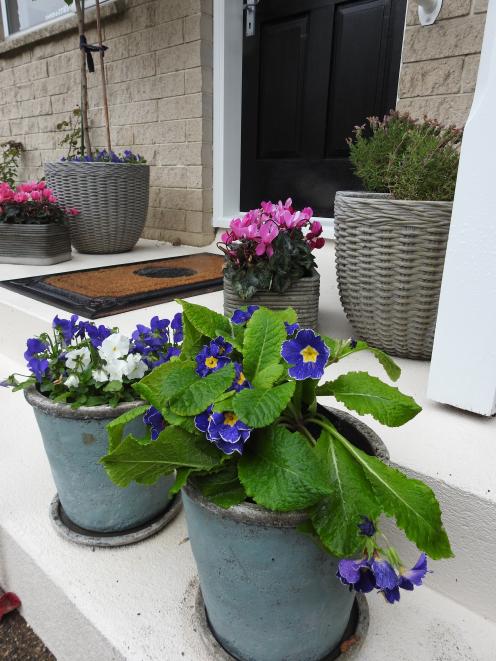 Colourful pots brighten the front entrance.