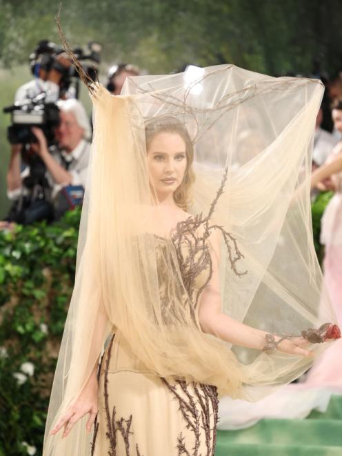 Lana Del Rey donned a dramatic headpiece with tree branches. Photo: Getty Images 