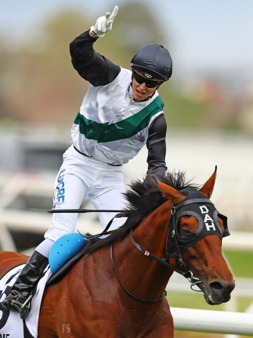 Jockey Cory Parish riding Boom Time celebrates winning the Caufield Cup. Photo: Getty Images 