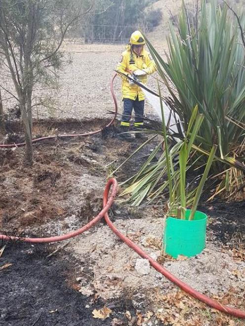 PHOTO: FIRE AND EMERGENCY NEW ZEALAND