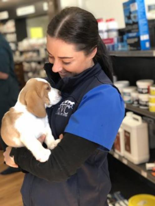 RVC vet nurse Stefanie Nicholas holds one of a litter of puppies brought in for their...