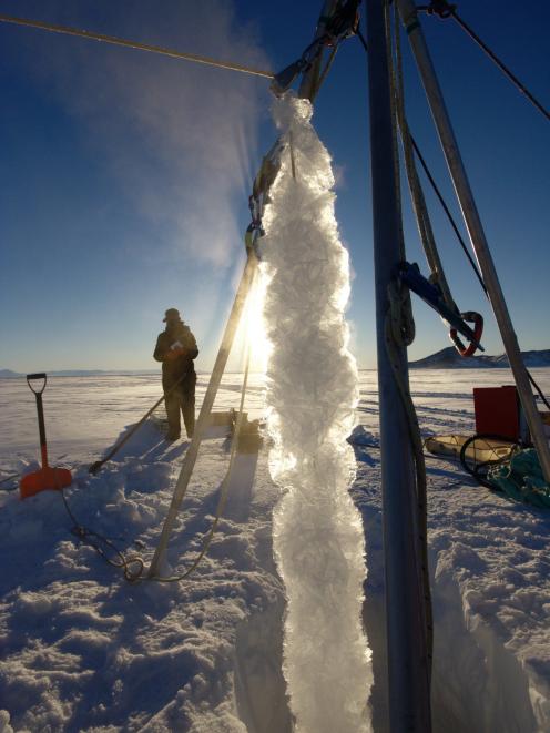 Platelet ice that has formed on a rope at depth is drawn to the surface. PHOTO: ANDY MAHONEY