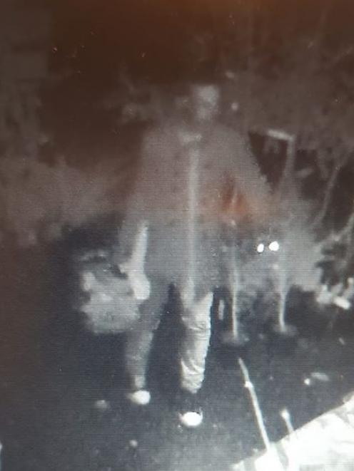 The man was caught on camera at the Waitati nursery this week. Photo: supplied 