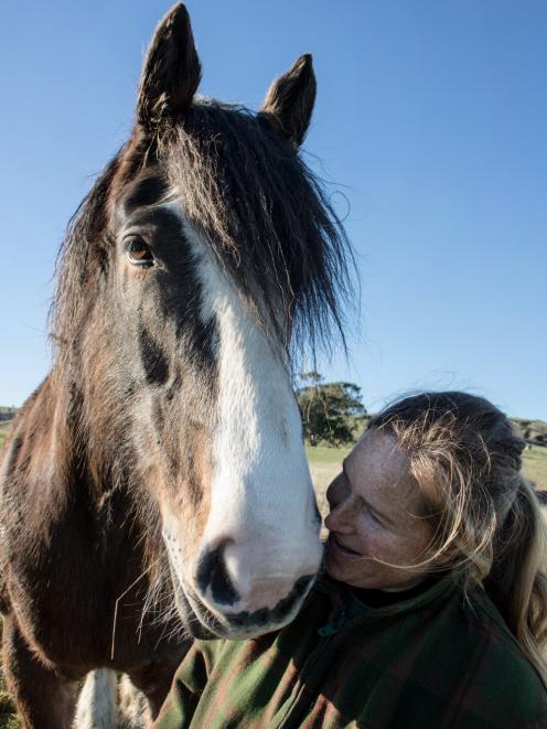 Cara Meyer, from Catlins Horse Riding, with Clydesdale-cross Angel. PHOTOS: DAVINIA NEALE...