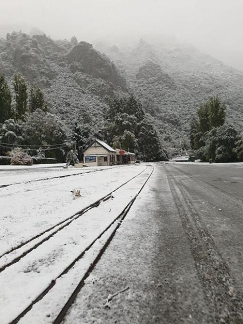 Snow in Kingston this morning. Photo: Perla Tortosa