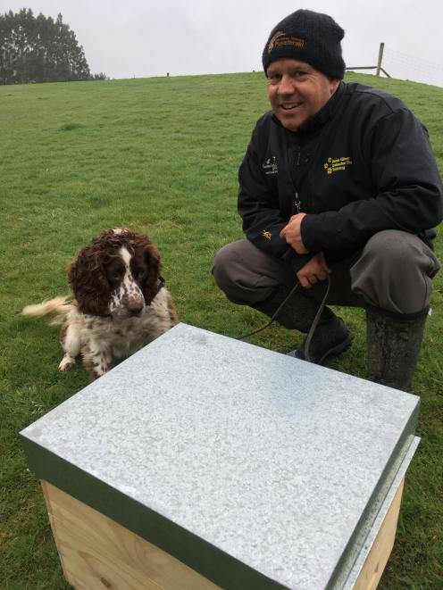 Dog trainer Rene Gloor trains English springer spaniel Flynn to detect the American foulbrood...