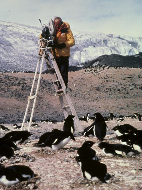 NHNZ cameraman Robert Brown films Adelie penguins at Cape Bird on Ross Island in the Antarctic in...