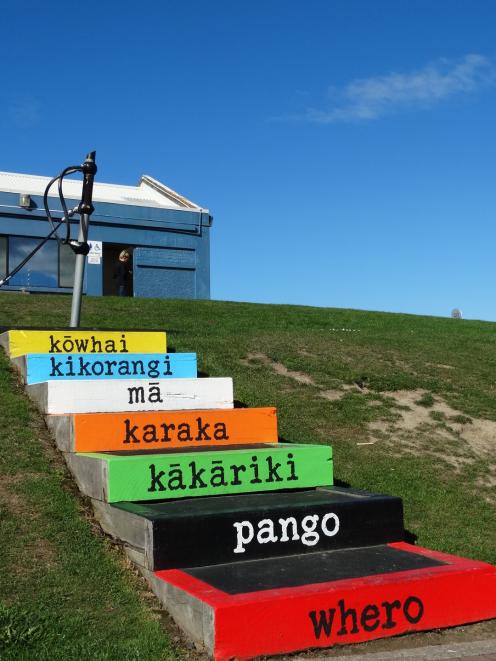 Brightly coloured steps at St Clair Playground have their colours described in Maori as part of the  ''Poems on Steps'' project. PHOTO: BRENDA HARWOOD