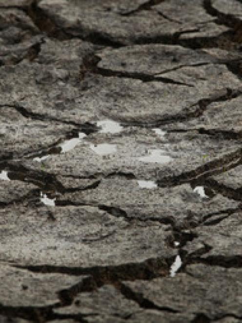Water begins to pool in a parched lake bed near Tauranga. Photo / Alan Gibson